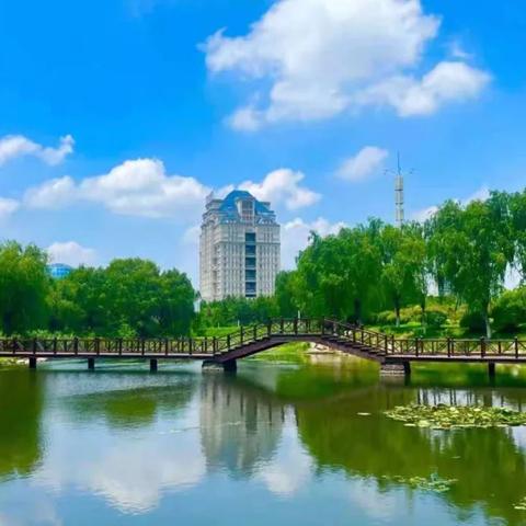 临沂最新招聘信息发布