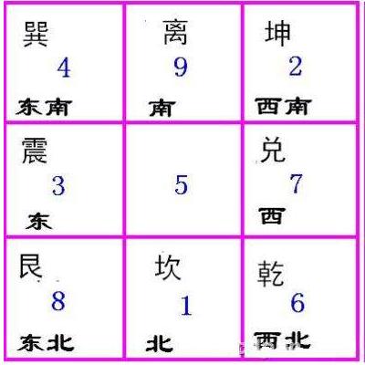 网红揭秘，数字背后的真相热议