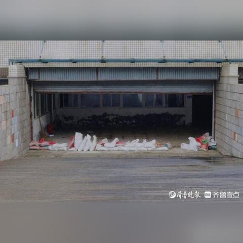 烟台台风最新情报，动态解读与应急应对方案