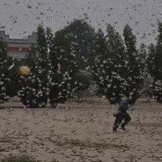 开张圣听 第2页