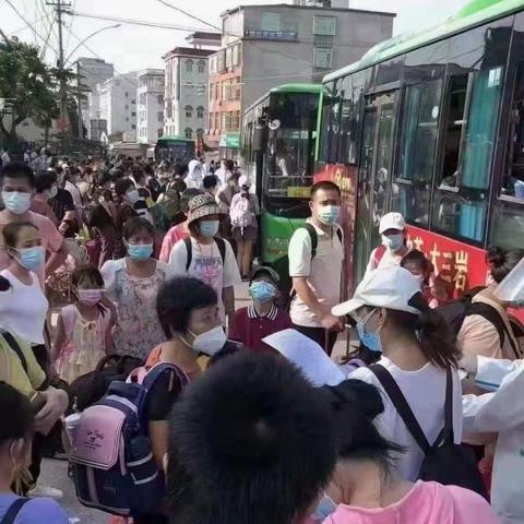 莆田疫情最新动态报告，实时更新数据分析
