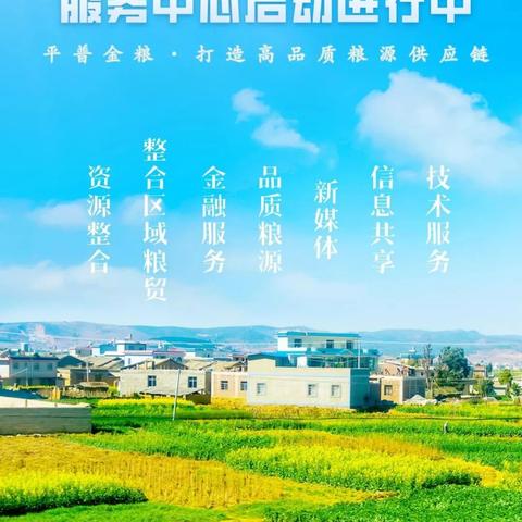 中普最新动态，科技创新的行业变革引领者