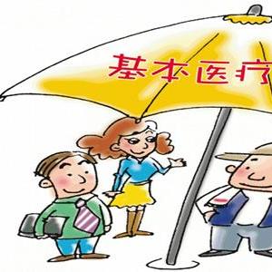 医疗改革最新深度报道，政策动态与市场反应