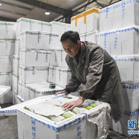 双福招聘职位概览及应聘指南