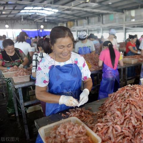 米糠价格行情最新分析