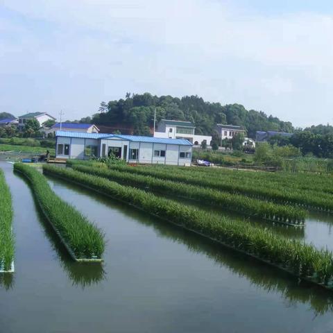 长沙超市转让最新动态，全面解析与数据洞察