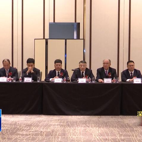 实时更新解析说明：2025澳门今晚必开一肖,牛、马、虎、猴