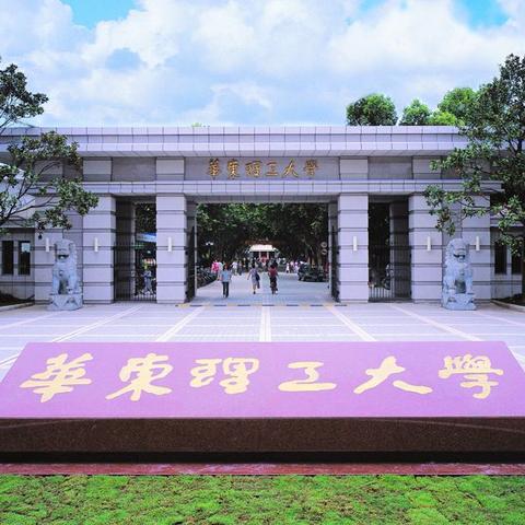 上海大学排名及深度解析报告