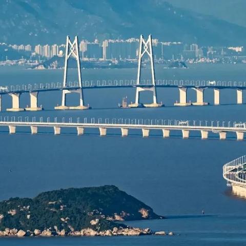 问题总结执行方案：2025新澳门天天免费精准,牛、虎、鸡、龙