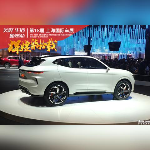 数据驱动方案实施：2025精准资料免费提供网站,蛇、马、狗、牛