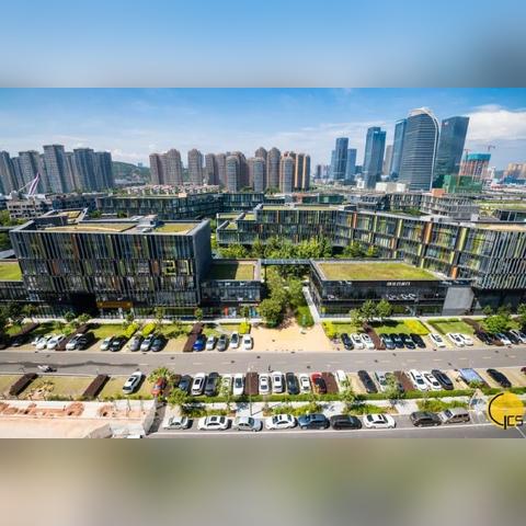 实用性执行策略讲解：2025年新澳门全年免费,牛、羊、狗、龙