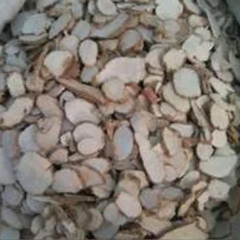 白术最新价格走势分析