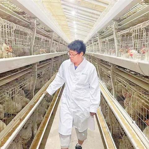 射洪招聘信息更新与就业市场深度解析