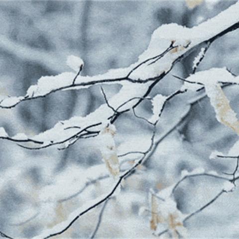 明天天气预报概览