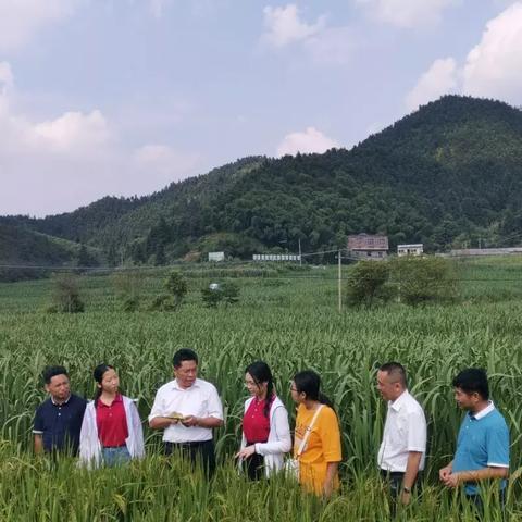 新民市最新招聘信息汇总：发现你的职业机会
