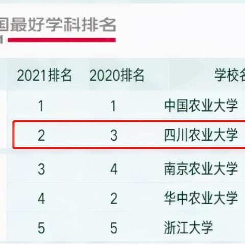四川高校最新排名总览