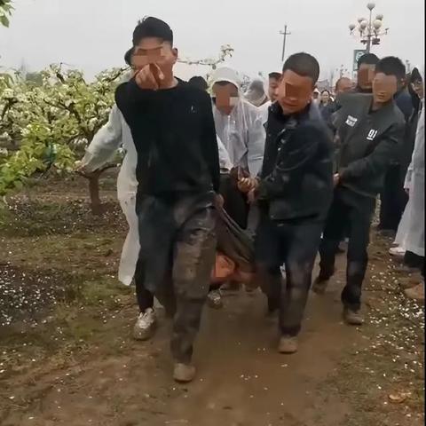 叶县强拆果园事件全解析：大学生创业梦与土地争议