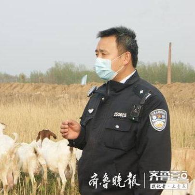 曹县高铁建设进展：黄河特大桥成就与区域交通发展