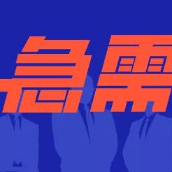 新都区最新招聘信息全面解析