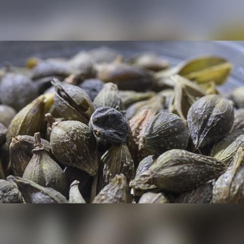 掌握干姜价格最新行情：市场分析与未来预测