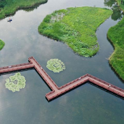 金银湖生态与产业升级：最新进展与未来展望
