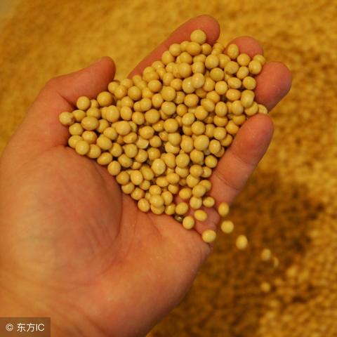 鸡蛋最新市场动态及分析摘要