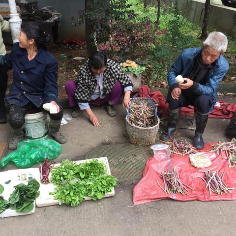 武汉盘龙城最新动态全面解读