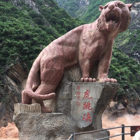 云南旅游最新动态更新