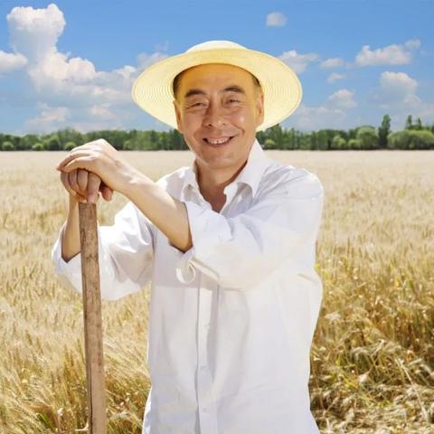 三农政策最新动态深度解读