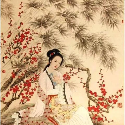 数字时代落花现象深度解析报告