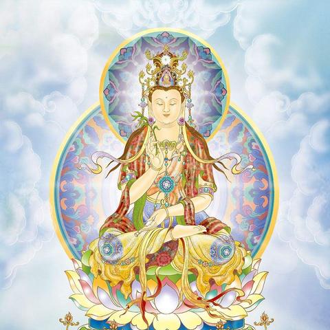 全本小说下载探索，数字阅读的无限魅力