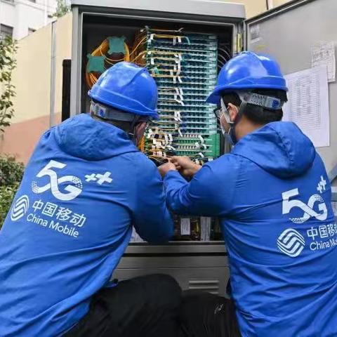 中国好声音最新一期深度数据解析