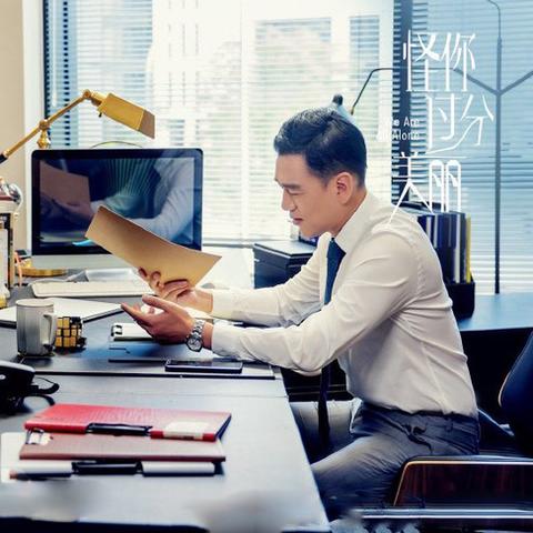 最新都市剧热门剧集深度解析大全集