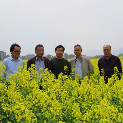 广西人大李克最新动态或消息报道