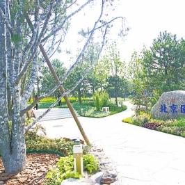 郑州园博园最新动态速递