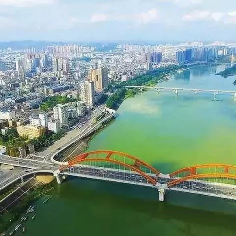 四川西充设区动态更新，最新消息解读