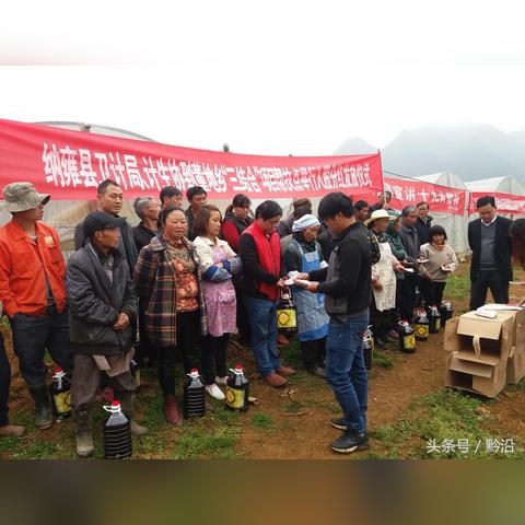 纳雍县董地乡最新动态报道