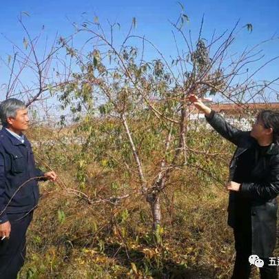 五莲吧环保最新动态全面解读