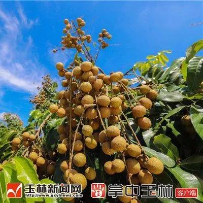 北宝一级公路最新进展通知