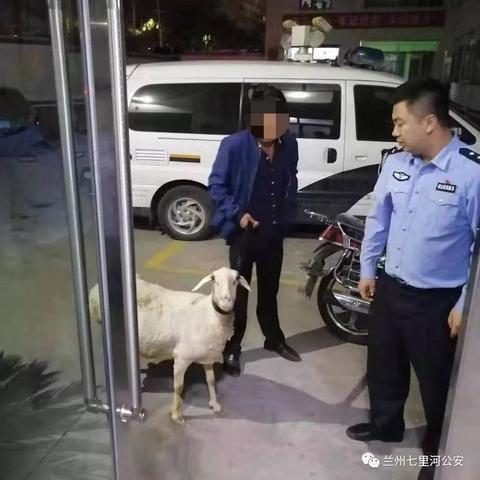 官羊新村六月动态更新