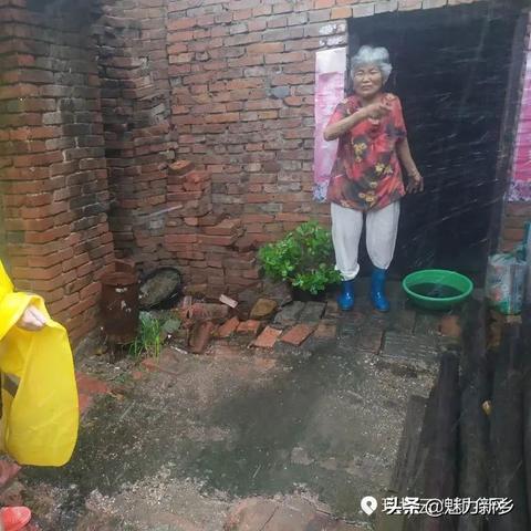 新乡市常青藤动态更新