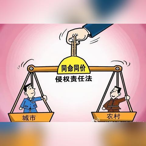 最新伤残等级评定与赔偿标准详解解读