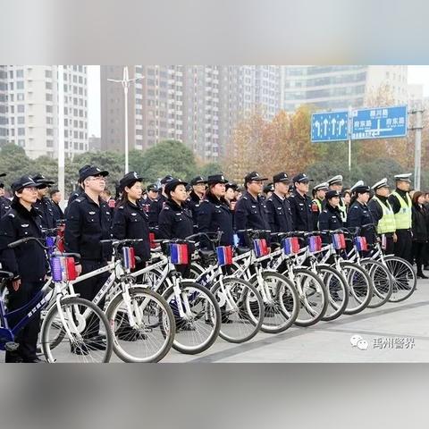 禹州市公交车最新路线全面解析
