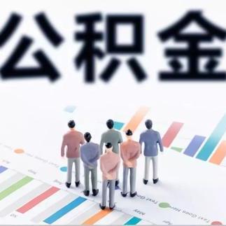 贷上钱逾期六月情况更新