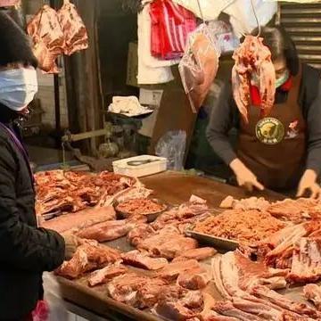 海峡新干线研究新成果报告分析
