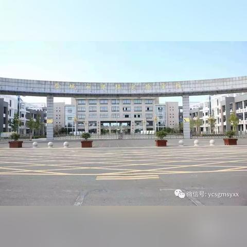 盐都区郭猛镇最新动态报道