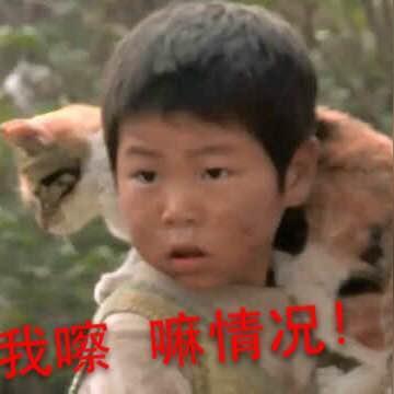 变形计四爷最新动态报道