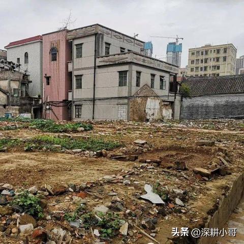 沙井东塘旧改全面启动，最新消息与细节揭秘