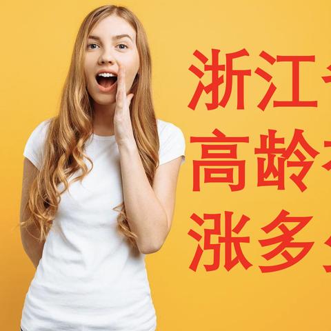 浙江养老金最新动态全面解析