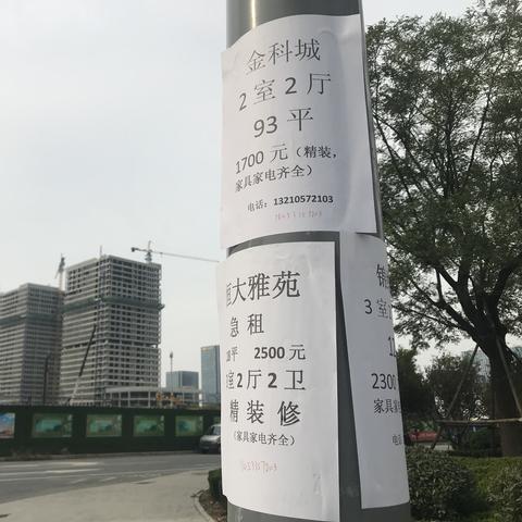 齐河二手房市场最新动态解析